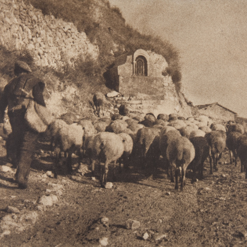 image for: Claudi Carbonell - Sense títol - No datat