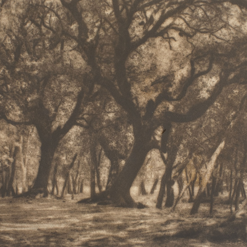 image for: Claudi Carbonell - Sense títol - No datat