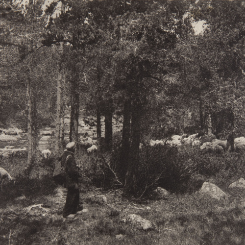 image for: Claudi Carbonell - Sense títol - No datat