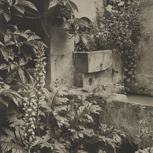image for: Otho Lloyd - Sense títol - No datat
