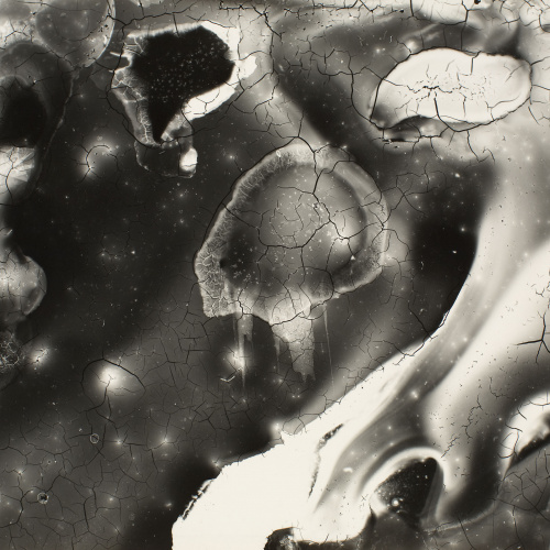 image for: Ton Sirera - Conreu - 1959