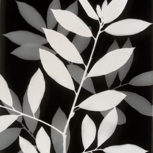 image for: Emili Godes - Sense títol - Cap a 1930