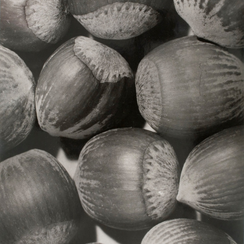image for: Emili Godes - Avellanes - Cap a 1930