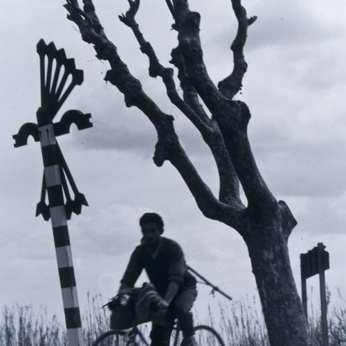 image for: Oriol Maspons - Ciclista falangista - 1963 (tiratge 1995)