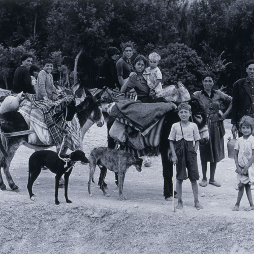 image for: Oriol Maspons - La Mancha - 1961 (tiratge 1995)