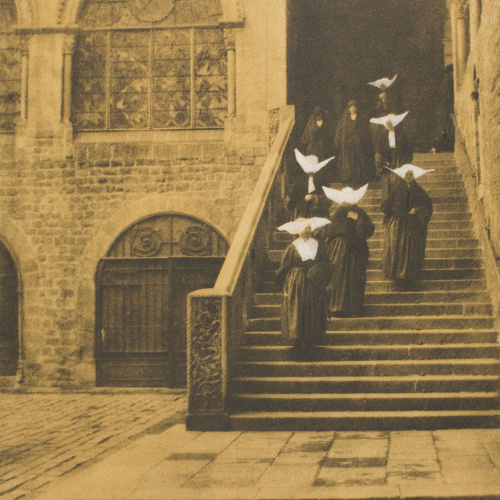 image for: Joaquim Pla Janini - Mariposas de la caridad - No datat