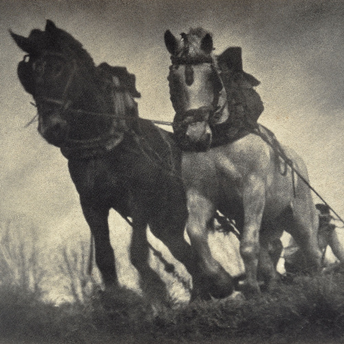 image for: Antoni Campañà - Tracció de sang - 1933