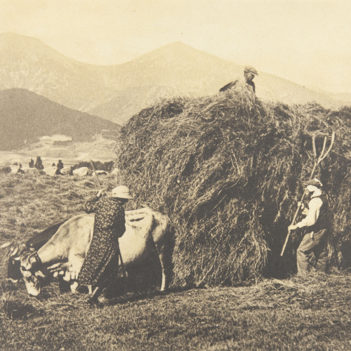 image for: Claudi Carbonell - Sense títol - 1931