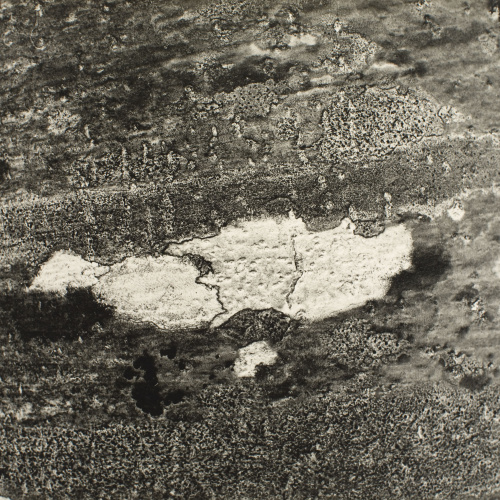 image for: Ton Sirera - Escorça d&#039;abres - 1959