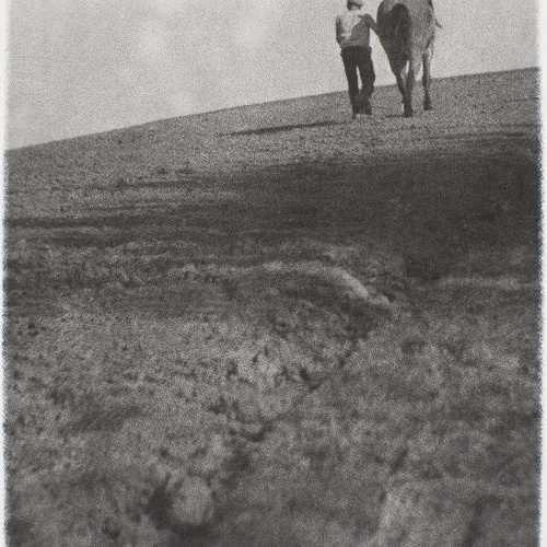 image for: Antoni Arissa - Sense títol - Cap a 1922-1928