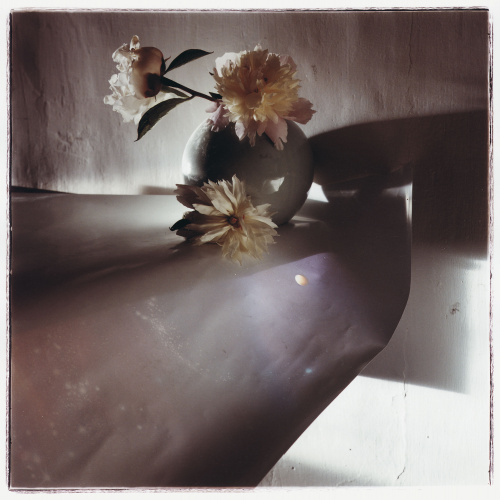 image for: Toni Catany - Natura morta, 136 - 1987
