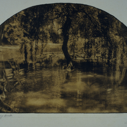image for: Joaquim Pla Janini - El lago dorado - Gener de 1954