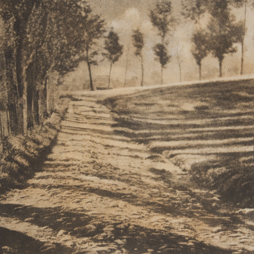 image for: Joaquim Pla Janini - Sombras paralelas - No datat