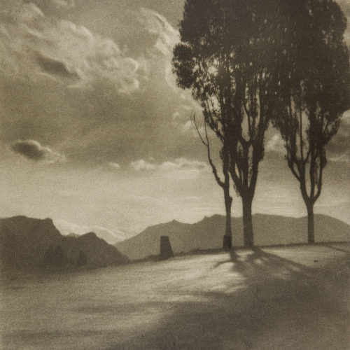 image for: Joaquim Pla Janini - Cuando el día muere - No datat