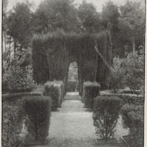 image for: Joaquim Pla Janini - El jardín de la fábrica Guarro - No datat