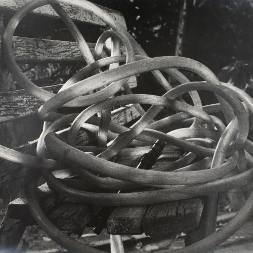 image for: Antoni Arissa - Banc i mànega - Cao a 1930-1936