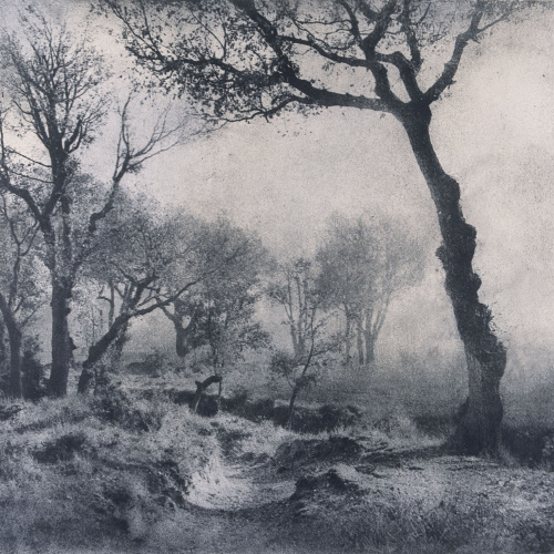 image for: Josep Maria Casals i Ariet - Paisatge - No datat