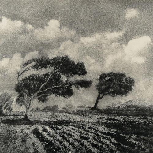 image for: Josep Maria Casals i Ariet - Paisatge - No datat