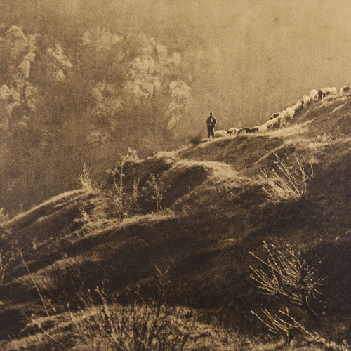 image for: Claudi Carbonell - Sense títol - No datat