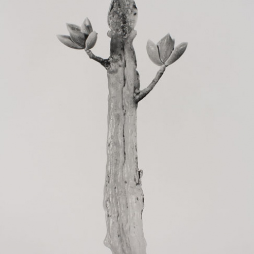 image for: Joan Fontcuberta - Waxamissa contricta (Herbarium) - 1985