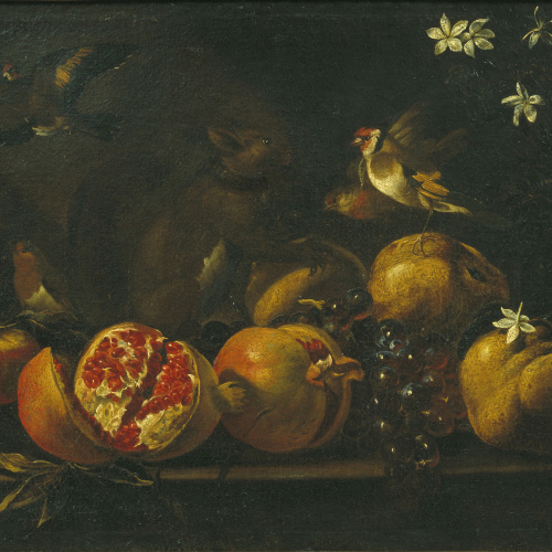 image for: Tommaso Realfonzo (Masillo) - Natura morta amb magranes, raïm, ocells i un esquirol - Segle XVIII