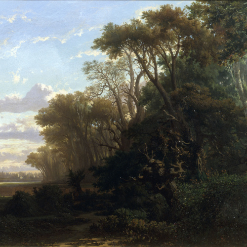 image for: Lluís Rigalt - Paisatge amb bosc - 1866