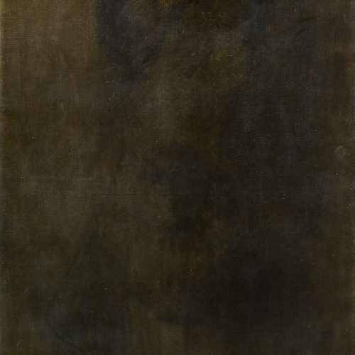 image for: Francesc Pausas - Retrat de Maria Sampere, dona del pintor - 1911