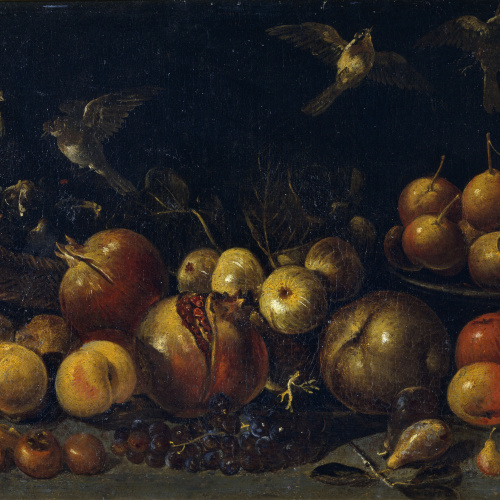 image for: Tommaso Realfonzo (Masillo) - Natura morta amb magranes, pomes, peres, raïm, figues i ocells - Primera meitat del segle XVII