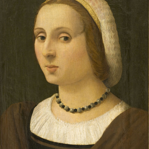image for: Vincenzo Tamagni - Retrat de dama - Cap a 1523