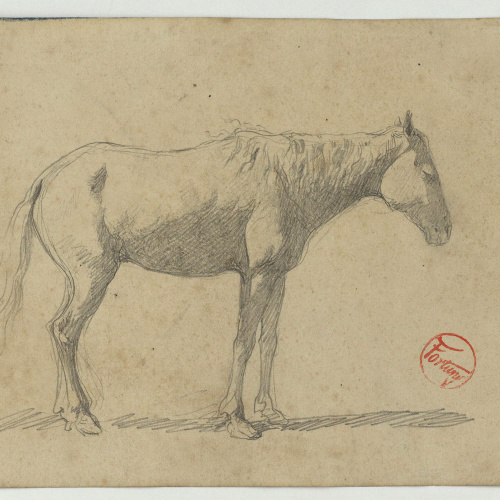 image for: Marià Fortuny - Cavall - Cap a 1860-1862