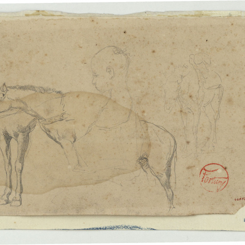 image for: Marià Fortuny - Cavalls i bust de nen - Cap a 1860-1862