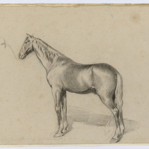 image for: Marià Fortuny - Euga del general Prim - Cap a 1860