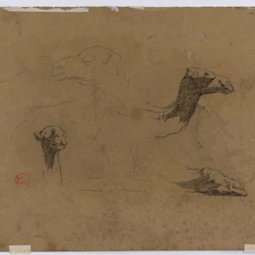 image for: Marià Fortuny - Estudi de camells (anvers) / Estudi de camells (revers) - Cap a 1862