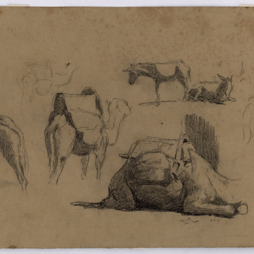 image for: Marià Fortuny - Estudi de camells (anvers) / Estudi de camells (revers) - Cap a 1862 [1]