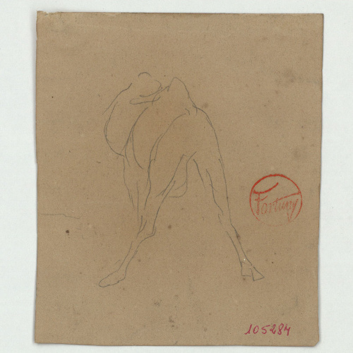 image for: Marià Fortuny - Camell - Cap a 1860-1862