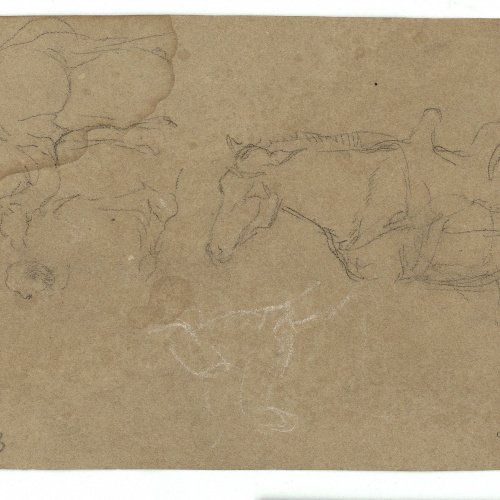 image for: Marià Fortuny - Cavalls (anvers) / Cavall i camell (revers) - Cap a 1860-1862 [1]