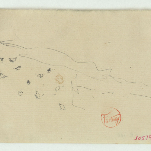 image for: Marià Fortuny - Croquis de coloms - Cap a 1867-1872