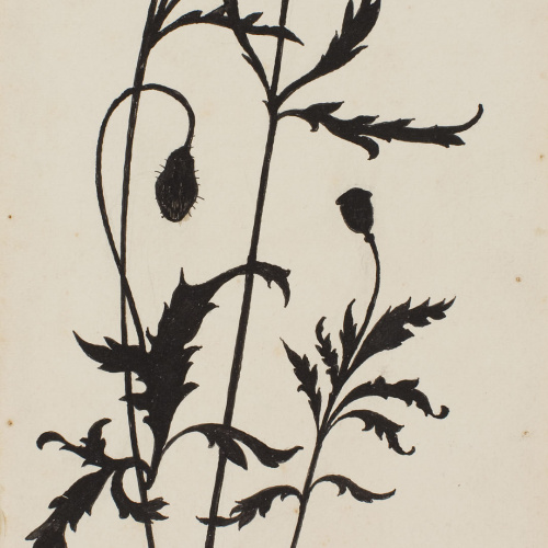 image for: Apel·les Mestres - Roselles. Il·lustració per al poema «Liliana» d&#039;Apel·les Mestres - 1902