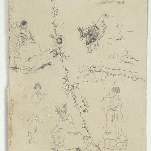 image for: Marià Fortuny - Figures femenines, flors i animals - Cap a 1874