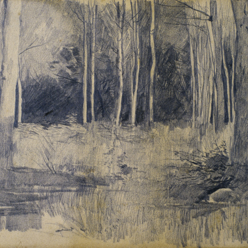 image for: Santiago Rusiñol - Arbreda - Cap a 1880-1885