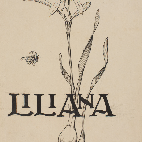 image for: Apel·les Mestres - Lliri de mar i abella. Il·lustració de la portada per al poema «Liliana» d&#039;Apel·les Mestres - 1905