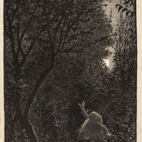 image for: Apel·les Mestres - El rossinyol. Il·lustració per al poema «Liliana» d&#039;Apel·les Mestres - 1905
