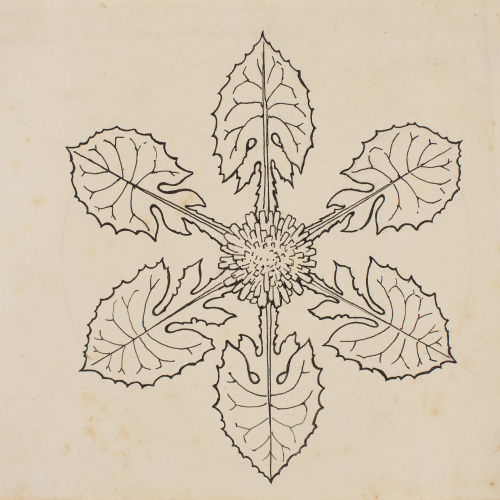 image for: Apel·les Mestres - Composició radial d&#039;una flor. Culdellàntia per al poema «Liliana» d&#039;Apel·les Mestres - 1904