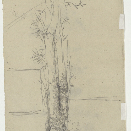 image for: Marià Fortuny - Estudi per al quadre «Carnaval al Corso romà» (anvers) / Arbres (revers) - Cap a 1874 [1]