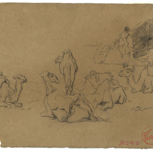 image for: Marià Fortuny - Camells - Cap a 1860-1862