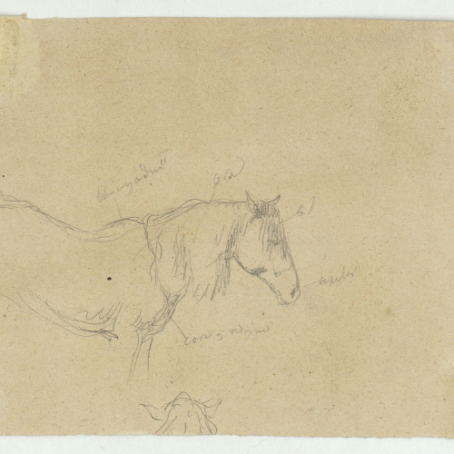 image for: Marià Fortuny - Marroquina (anvers) / Cavall (revers) - Cap a 1860-1862 [1]