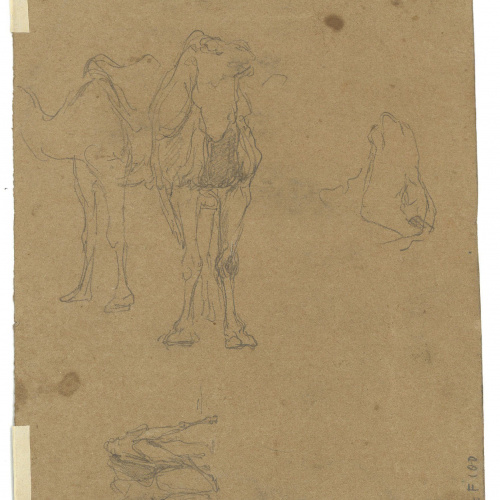 image for: Marià Fortuny - Paisatge marroquí (anvers) / Esbós de camells (revers) - Cap a 1860-1862 [1]