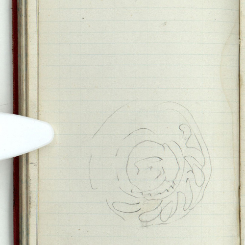 image for: Marià Fortuny - Motiu ornamental - Cap a 1868-1872