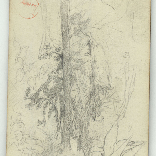 image for: Marià Fortuny - Arbres i fulles (anvers) / Àmfora (revers) - Cap a 1863-1872