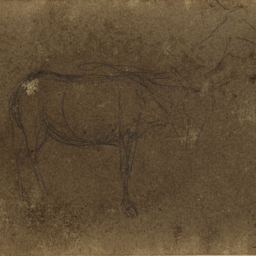 image for: Marià Fortuny - Mula (anvers) / Pota de mula (revers) - Cap a 1866-1872